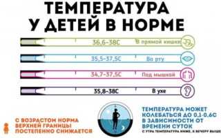 Нормы и требования СанПин: до какой температуры гуляют в детском саду, а в каких случаях туда идти не надо?