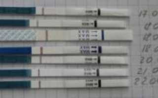 22 день цикла подташнивает