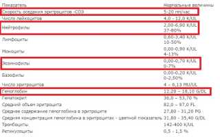 Анализ крови при бронхиальной астме