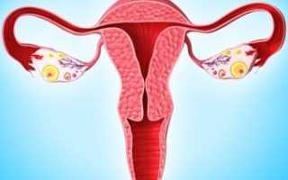 Изменения в расположении женских репродуктивных органов