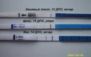 14 день после овуляции