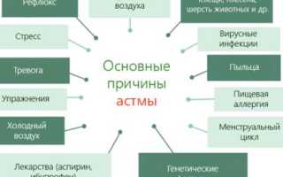 К какому врачу обратиться при астме?