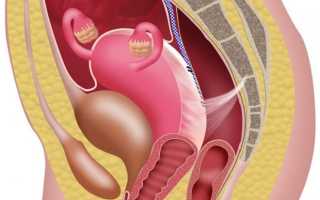 Боль в женских яичниках после родов