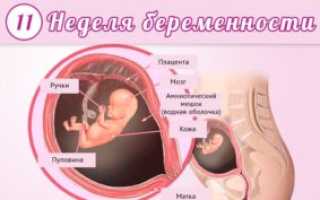 11 неделя беременности простуда