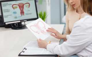 Какие гормоны вырабатываются женскими яичниками