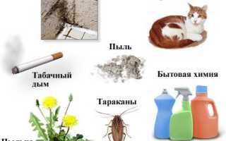 Эндогенная, экзогенная и смешанная бронхиальная астма