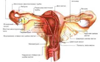 Какие могут быть последствия при удалённой матке, но оставленных яичниках