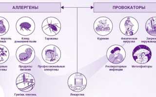 Лечение бронхиальной астмы народными средствами