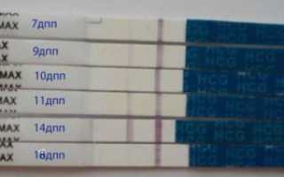 Может ли быть имплантация на 10 дпп пятидневок