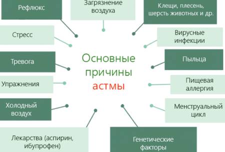 основные причины астмы