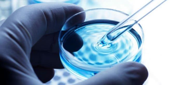 ЭКО при неработающих придатках