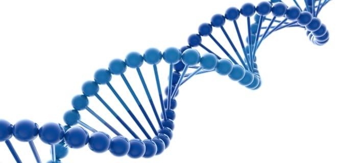 Гиперфункция яичников передаётся на генетическом уровне