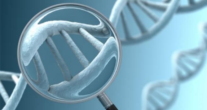 Снижение овариального резерва на генетическом уровне 