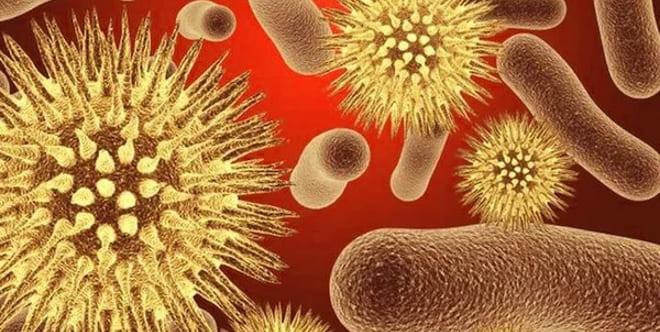 Микробы на половых губах женщины