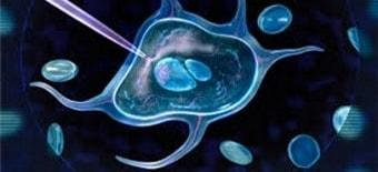 Последствия ЭКО - СГЯ