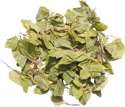 Заготовка ортилии