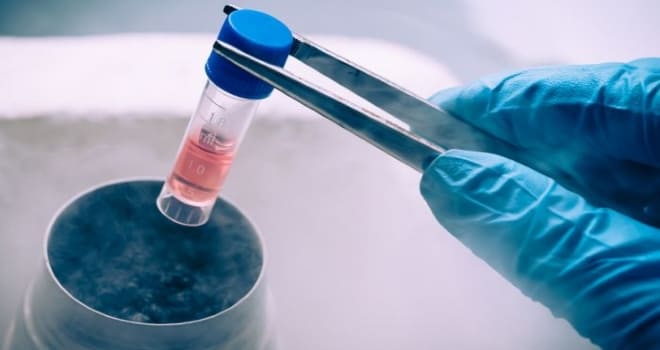 Как замораживают яйцеклетки для трансплантации