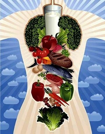 Полезные для организма продукты питания